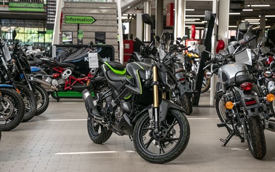 Neufahrzeug QJ Motor SRK 125 S - Bild 3