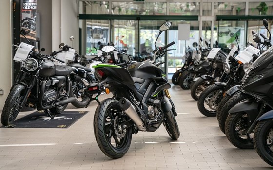 Neufahrzeug QJ Motor SRK 125 S - Bild 6