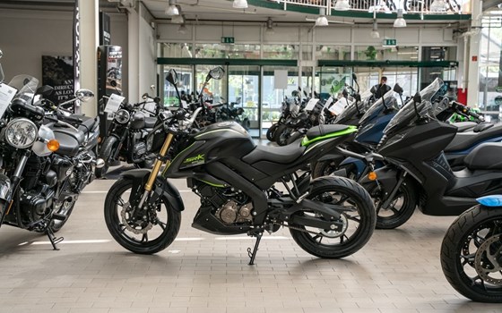Neufahrzeug QJ Motor SRK 125 S - Bild 8