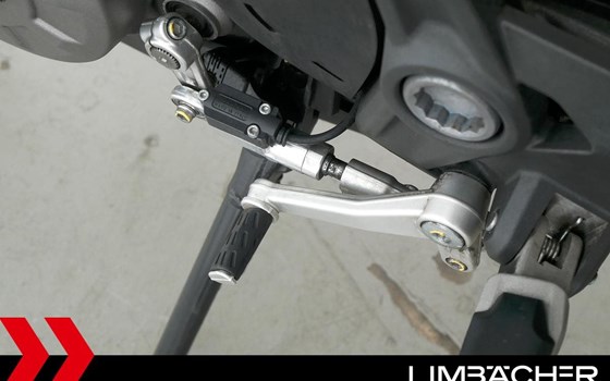 Gebrauchtmotorrad Ducati Monster 821 Stealth - Bild 19