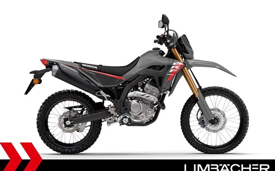 Gebrauchtmotorrad Honda CRF300L - Bild 2