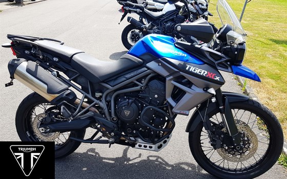 Gebrauchtmotorrad Triumph Tiger 800 XCx - Bild 1