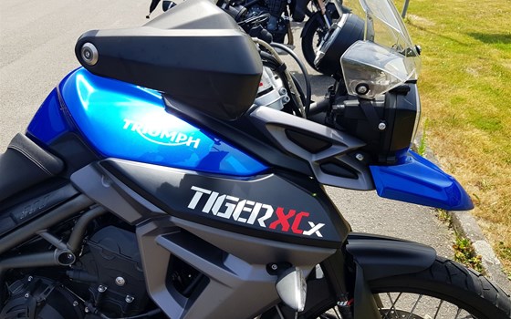Gebrauchtmotorrad Triumph Tiger 800 XCx - Bild 7