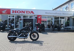 Gebrauchte Harley-Davidson Sportster XL 883 N Iron