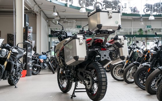 Neufahrzeug Benelli TRK 702 X - Bild 5