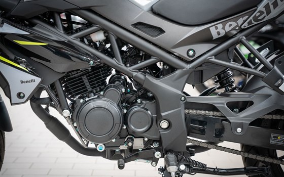 Neufahrzeug Benelli BN 125 - Bild 13