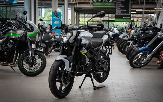 Neufahrzeug Benelli BN 125 - Bild 3