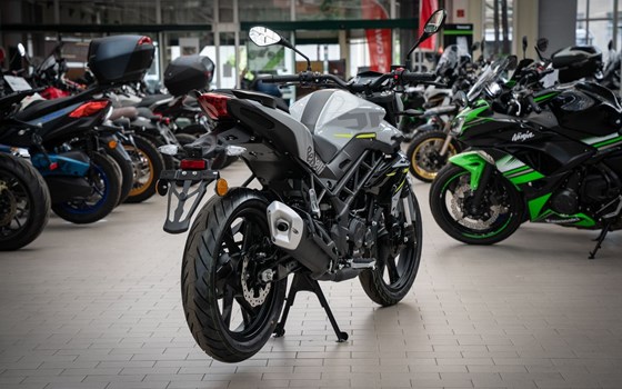 Neufahrzeug Benelli BN 125 - Bild 6