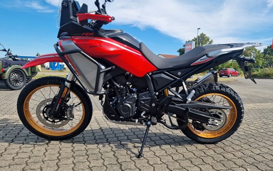 Neufahrzeug QJ Motor SRT 450 RX - Bild 4