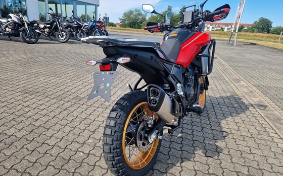 Neufahrzeug QJ Motor SRT 450 RX - Bild 5