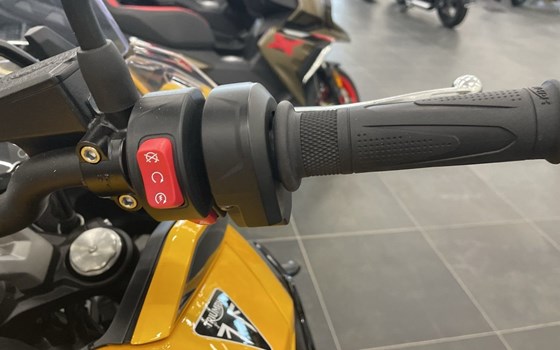 Gebrauchtmotorrad Triumph Tiger Sport 800 - Bild 11