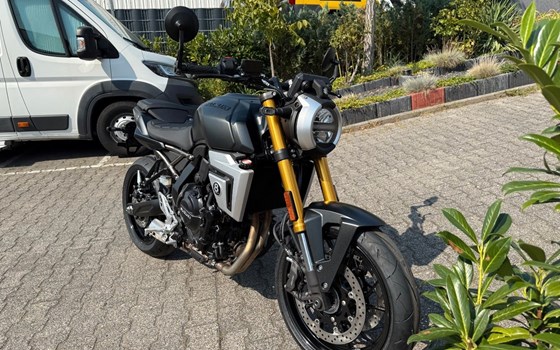 Neufahrzeug Suzuki GSX-8T - Bild 7