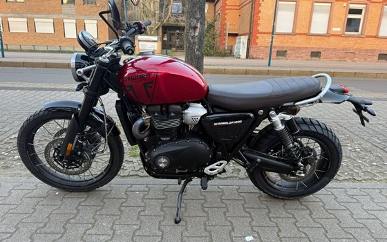Gebrauchtmotorrad Triumph Scrambler 1200 X - Bild 2