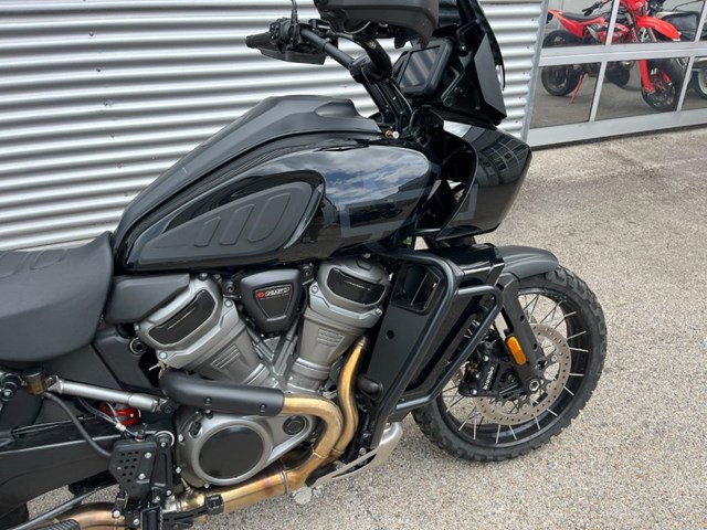 Harley-Davidson Pan America 1250 Special (schwarz) - Bild 3
