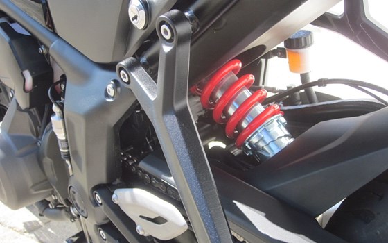 Gebrauchtmotorrad Triumph Trident 660 - Bild 10