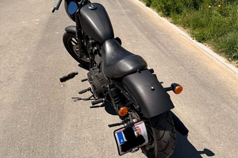 HARLEY-DAVIDSON Sportster 883 - Gebrauchtberatung