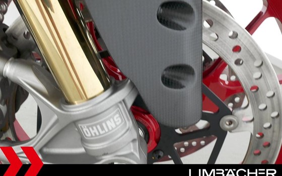 Gebrauchtmotorrad Ducati 1299 Panigale R Final Edition - Bild 15