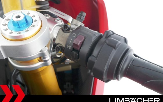 Gebrauchtmotorrad Ducati 1299 Panigale R Final Edition - Bild 21