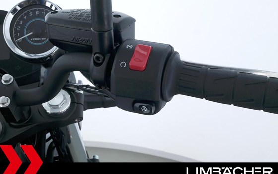 Neufahrzeug Kawasaki Z650 RS - Bild 19
