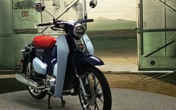 Gebrauchtmotorrad Honda Super Cub C 125 - Bild 3