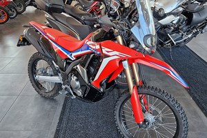 Offer Honda CRF300 Rally