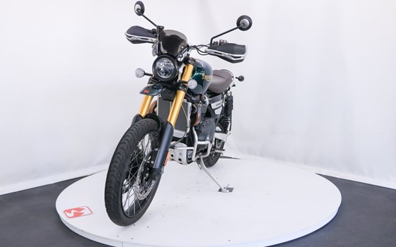 Gebrauchtmotorrad Triumph Scrambler 1200 Steve McQueen Edition - Bild 3