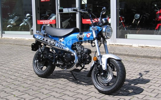 Gebrauchtmotorrad Honda Dax - Bild 1