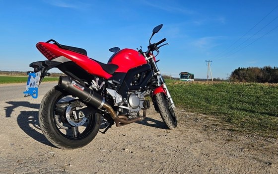 Gebrauchtmotorrad Suzuki SV 650S - Bild 12