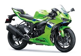 Gebrauchte Kawasaki Ninja ZX-6R
