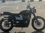 Angebot Triumph Street Scrambler