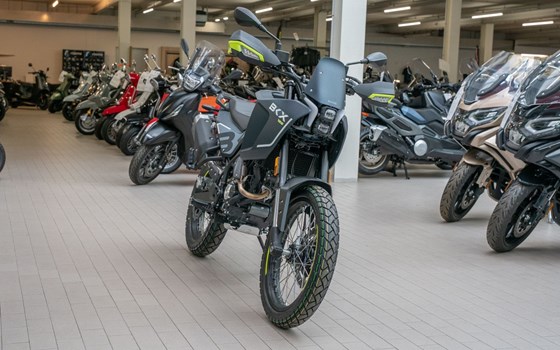 Neufahrzeug Benelli BKX 125 - Bild 2