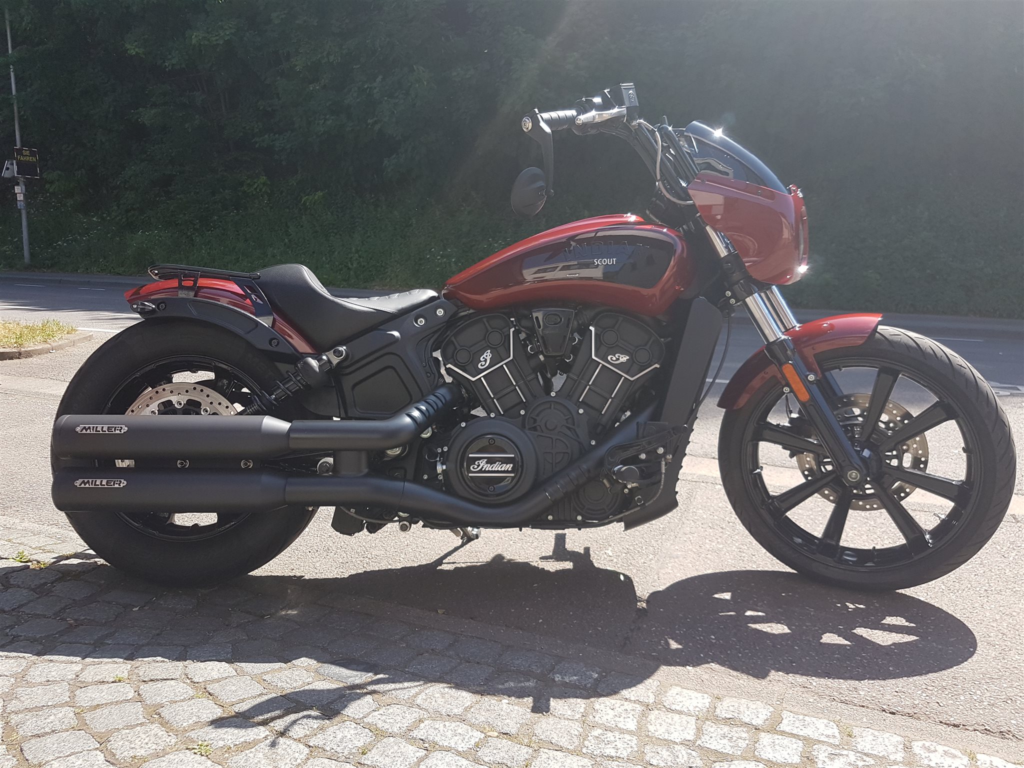 Indian Scout Rogue