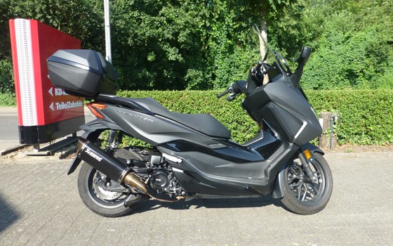 Gebrauchtmotorrad Honda Forza 350 - Bild 6