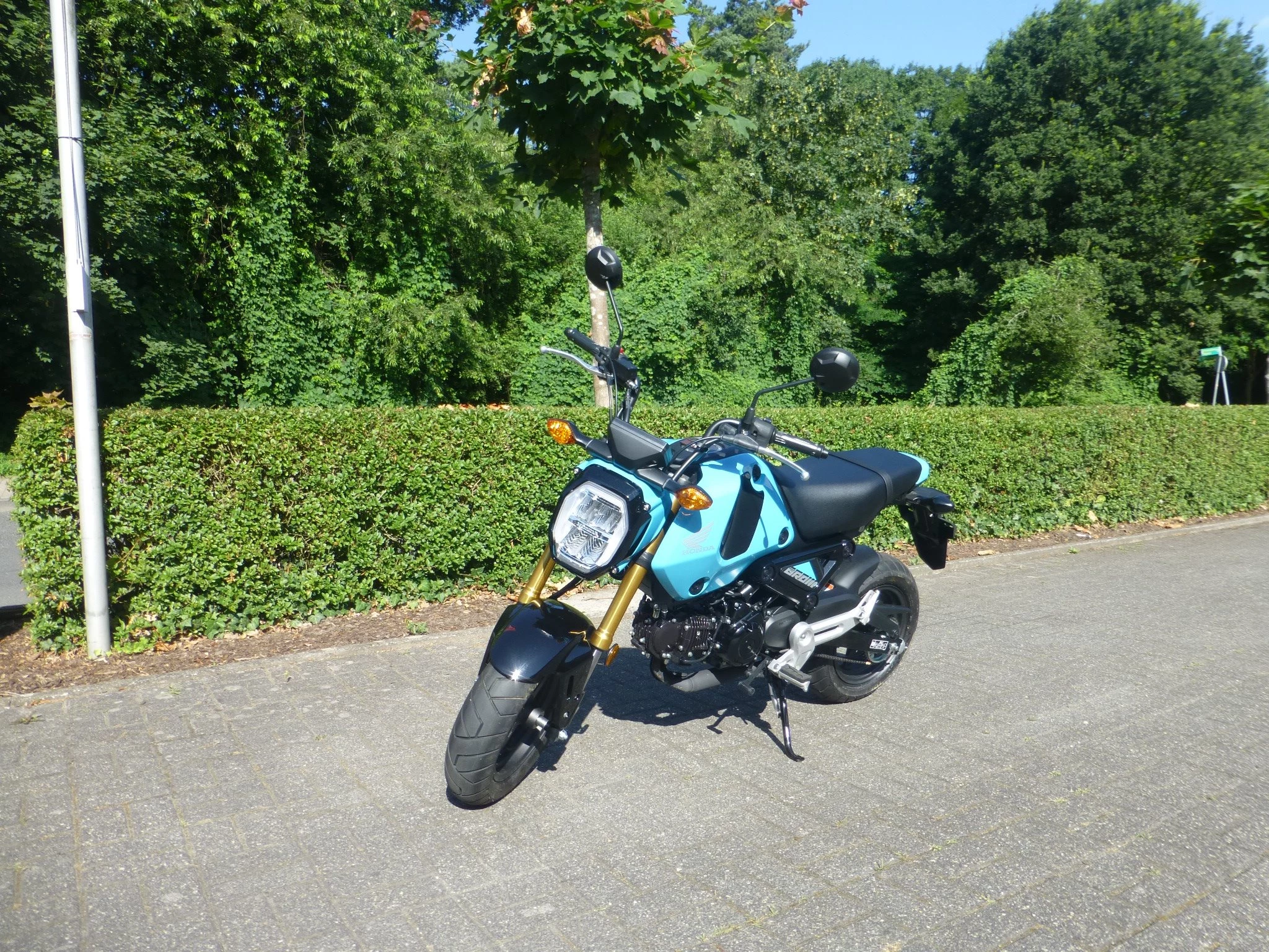 Honda MSX125 Grom