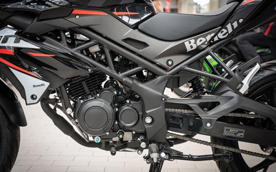 Neufahrzeug Benelli BN 125 - Bild 13