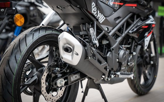 Neufahrzeug Benelli BN 125 - Bild 15