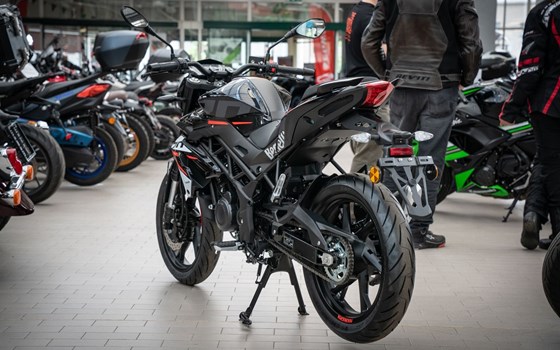 Neufahrzeug Benelli BN 125 - Bild 5