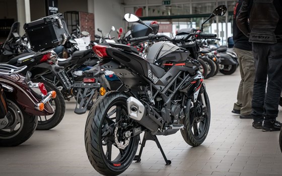 Neufahrzeug Benelli BN 125 - Bild 6