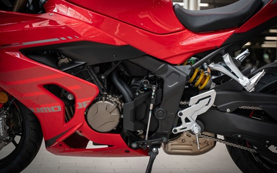 Neufahrzeug QJ Motor SRK 800 RR - Bild 13
