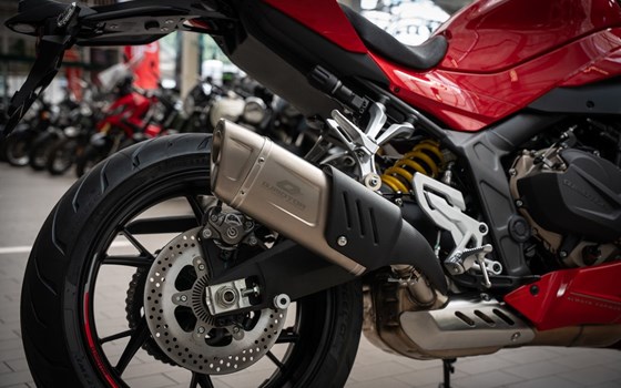 Neufahrzeug QJ Motor SRK 800 RR - Bild 15
