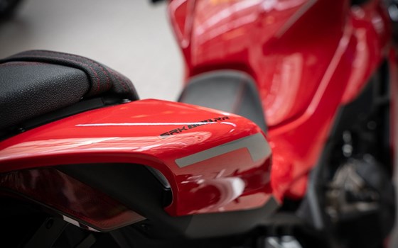 Neufahrzeug QJ Motor SRK 800 RR - Bild 19