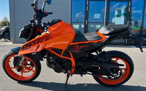 Gebrauchtmotorrad KTM 390 Duke - Bild 2