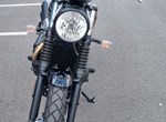 Angebot Triumph Scrambler 900 Icon Edition