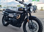 Angebot Triumph Scrambler 900 Icon Edition