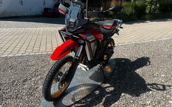 Neufahrzeug QJ Motor SRT 450 RX - Bild 3