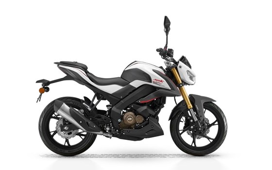 Neufahrzeug QJ Motor SRK 125 S - Bild 1