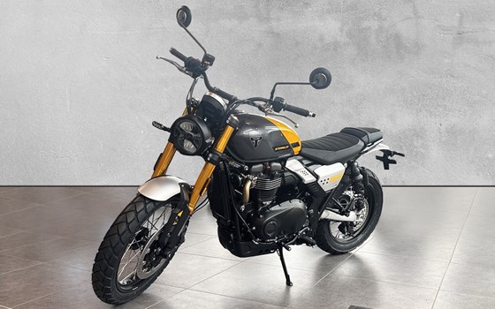 Neufahrzeug Triumph Scrambler 900 - Bild 1