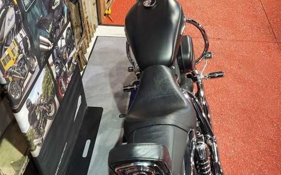 Gebrauchtmotorrad Harley-Davidson Sportster XL 1200C Custom - Bild 8