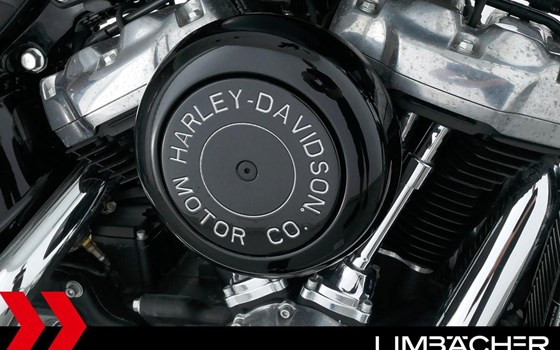 Gebrauchtmotorrad Harley-Davidson Softail Standard FXST - Bild 15