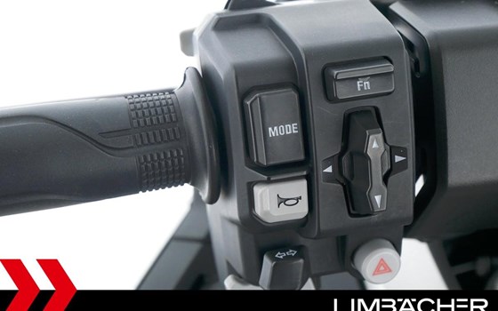 Gebrauchtmotorrad Honda Forza 750 - Bild 15
